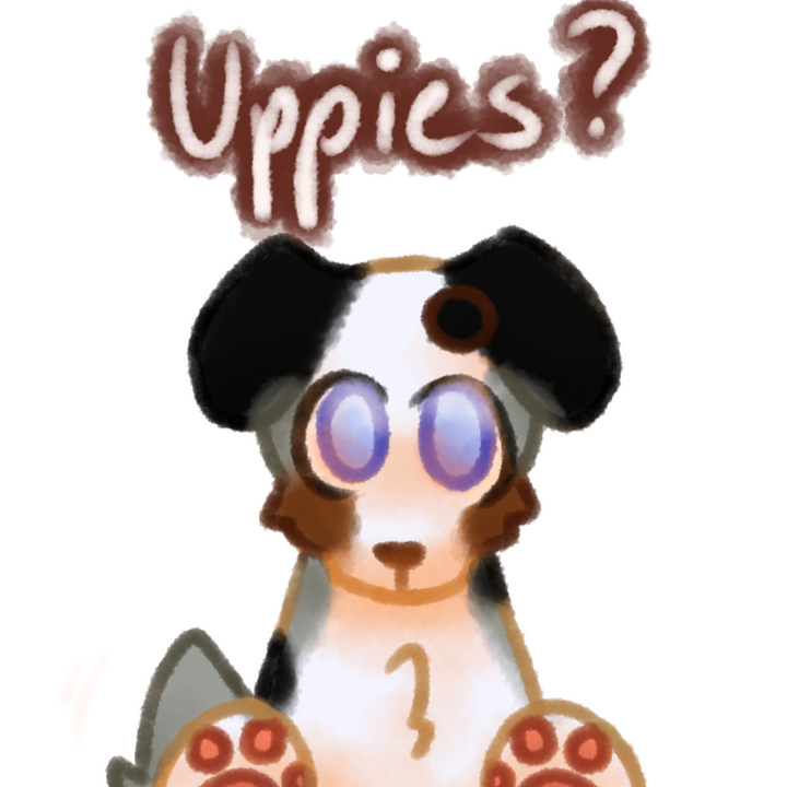 Drawing of an Aussie Blue Merle dog putting its paws on the screen and giving the viewer puppy eyes. There's text above the drawing that says "Uppies?" in white with a brown outline.