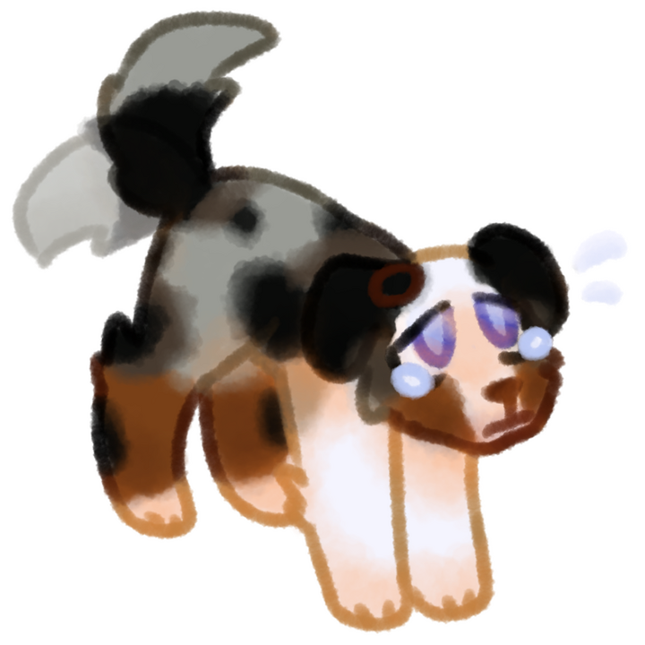Drawing of an Aussie Blue Merle dog wagging its tail and crying.