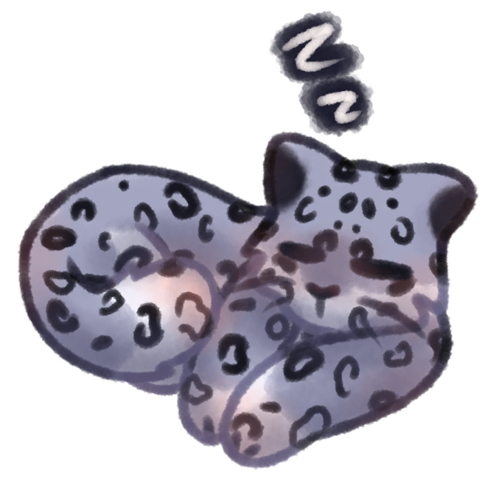 Drawing of a snow leopard curled up and sleeping.