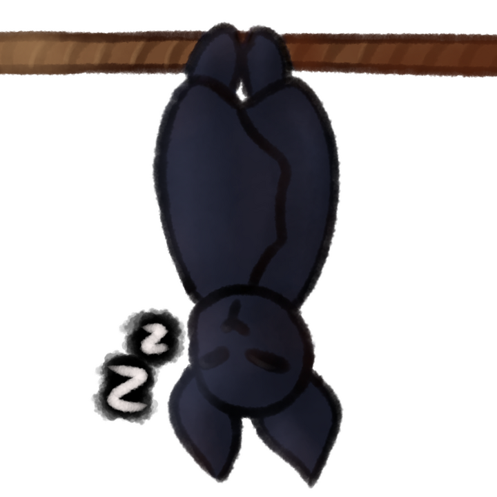 Drawing of a bat hanging from a rope and sleeping.