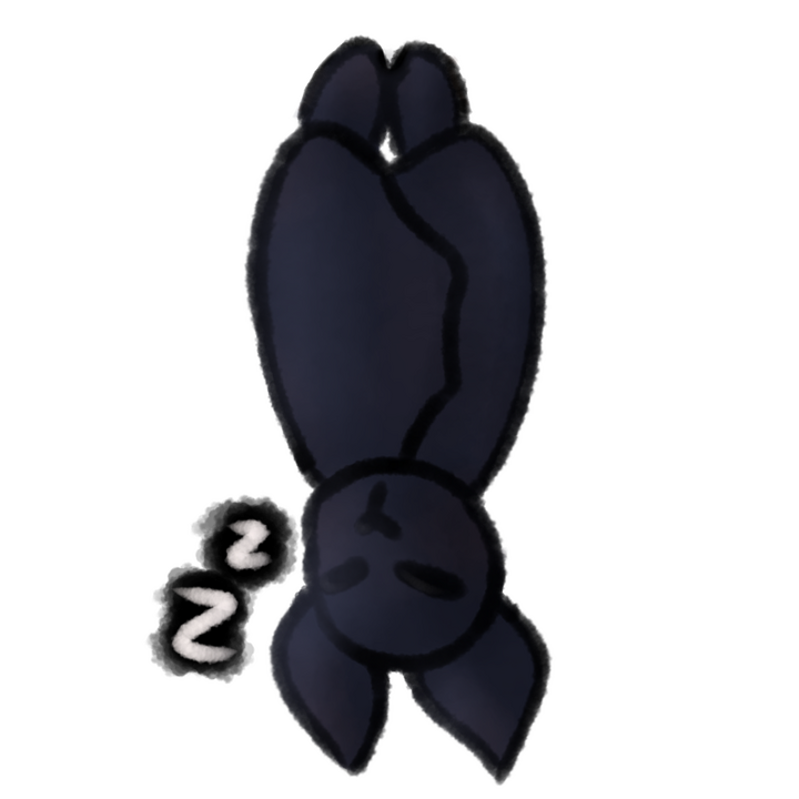 Drawing of a bat sleeping upside down.